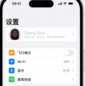 伊川appleID维修服务iPhone设置中Apple ID显示为灰色无法使用 