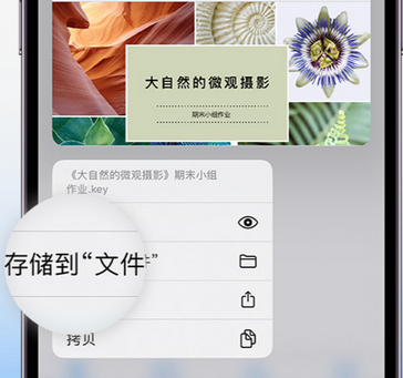 伊川apple维修中心分享iPhone文件应用中存储和找到下载文件