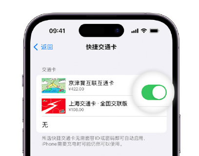 伊川apple维修点分享iPhone上更换Apple Pay快捷交通卡手绘卡面 