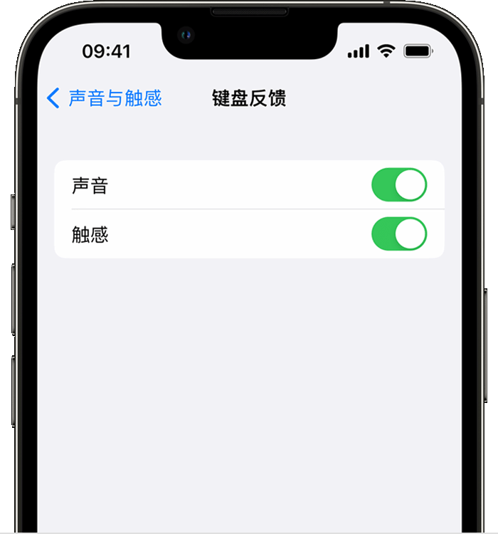 伊川苹果14维修店分享如何在 iPhone 14 机型中使用触感键盘 