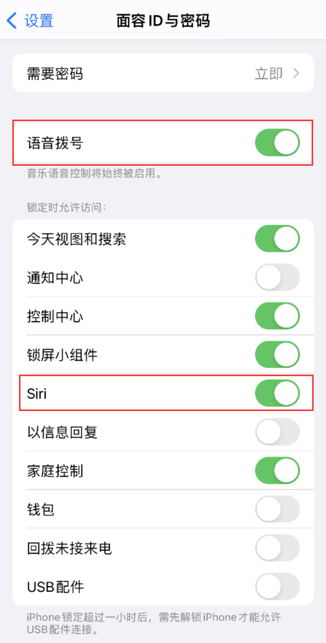 伊川苹果维修网点分享不解锁 iPhone 的情况下通过 Siri 拨打电话的方法 