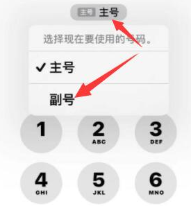 伊川苹果14维修店分享iPhone 14 Pro Max使用副卡打电话的方法 