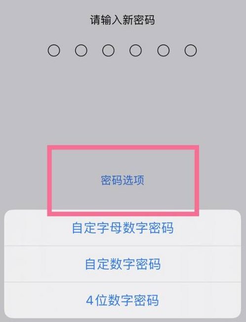 伊川苹果14维修分享iPhone 14plus设置密码的方法 