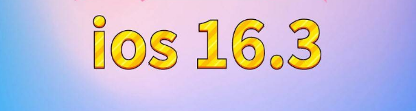 伊川苹果服务网点分享苹果iOS16.3升级反馈汇总 