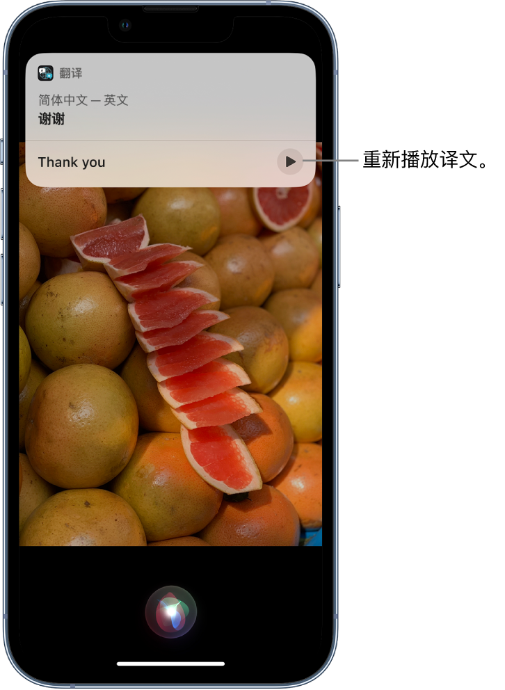 伊川苹果14维修分享 iPhone 14 机型中使用 Siri：了解 Siri 能帮你做什么 