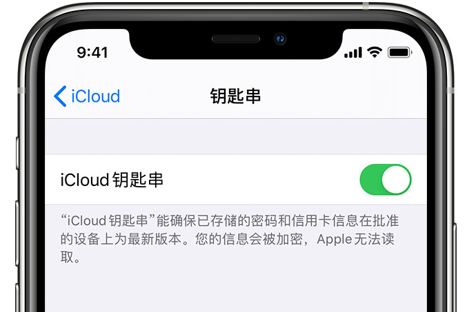 伊川苹果手机维修分享在 iPhone 上开启 iCloud 钥匙串之后会储存哪些信息 